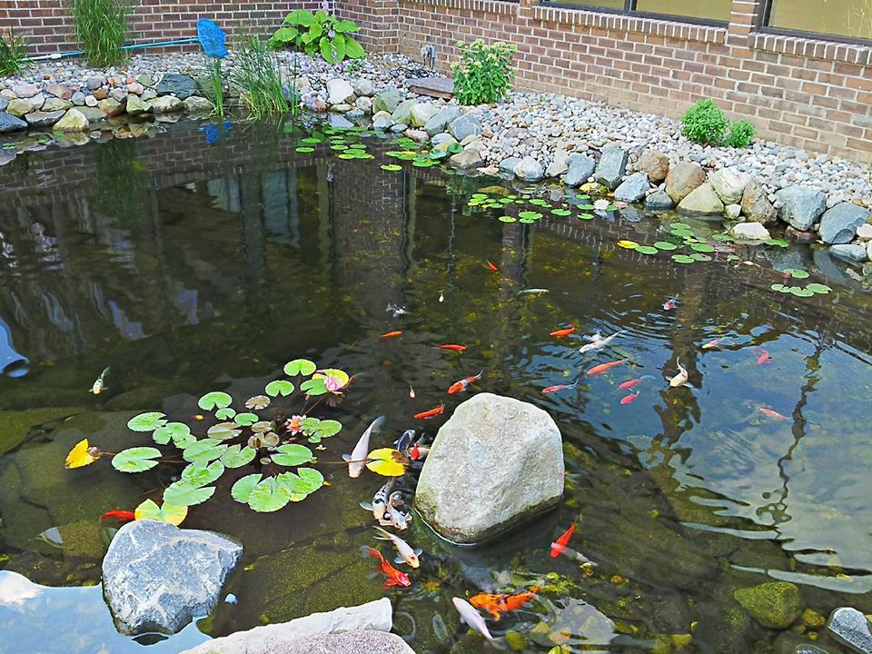 Causeway Bay Hotel Лансинг Екстер'єр фото